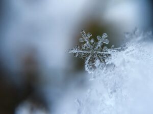 Look after your skin in winter