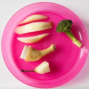 baby led weaning foods