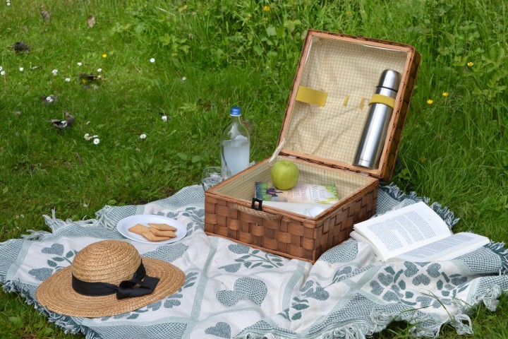 Arranging a Family-Friendly Picnic