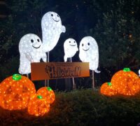 Halloween fun