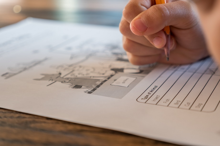 The Truth About Exam Retakes